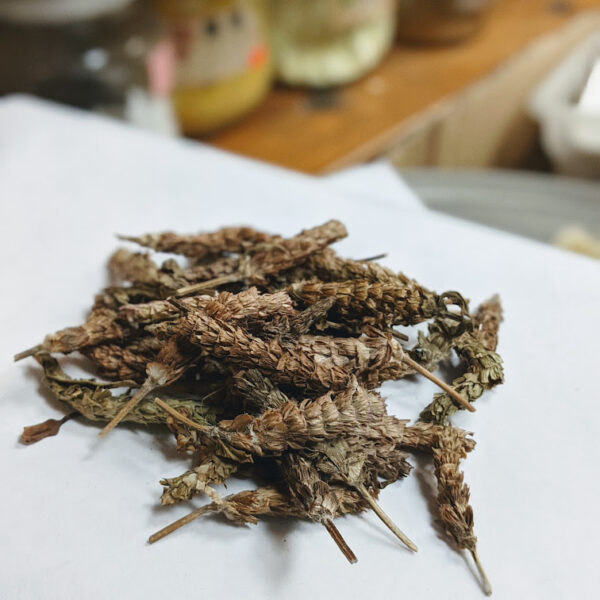 Xia Ku Cao （夏枯草） Nam Bac Hang